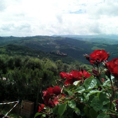 Poggio Al Vento Guest House Castiglione d'Orcia Exterior photo